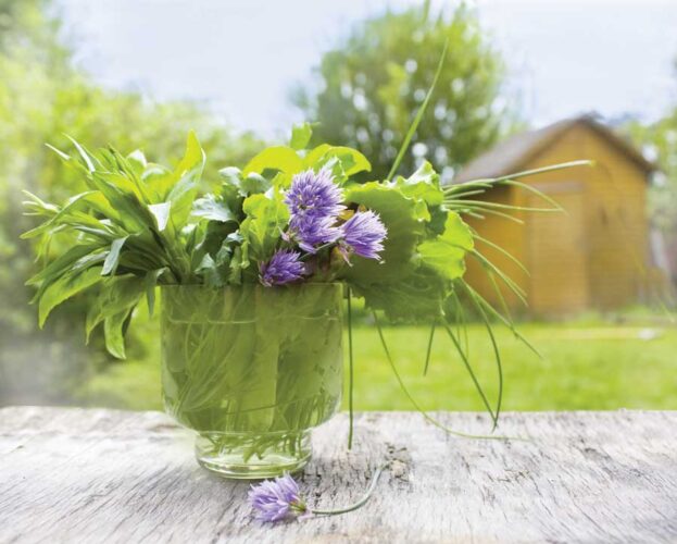 Fresh Clips: Herb Bouquets